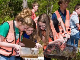 Eкологија и климатски промени да стане редовен предмет во училиштата