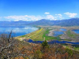 Граѓаните преку онлајн петиција се обидуваат да го спасат Преспанското езеро од пресушување