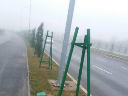 До каде со овој менталитет – украдени тазе засадени дрва